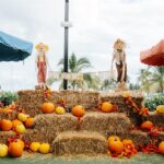 Los 6 Mejores Compactos Deportivos del 2024 y 2025 »