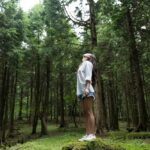 El Volkswagen ID. Buzz del 2025 comienza a coleccionar galardones »