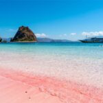 Los 5 autos con la mayor capacidad para tus aventuras al aire libre »