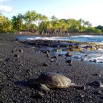 Kia registra sus mejores ventas en el mes de octubre »