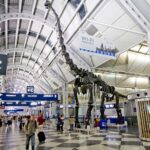 Las 5 mejores aerolíneas para viajar en diciembre