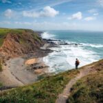 5 países con las políticas más amigables para viajar con mascotas