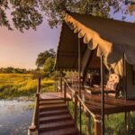 5 destinos que ofrecen los mejores tours en tren vintage de lujo