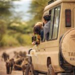 Los 5 pueblos del mundo que están pagando a nuevos residentes y cómo aprovecharlo como viajero de larga estancia en el 2026