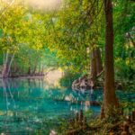 Los 5 estadios del mundo que hay que visitar al menos una vez en la vida