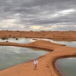 5 destinos donde nadar junto a animales marinos de forma responsable y segura