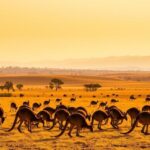 5 leyendas urbanas de distintos países que se han convertido en atracción turística