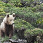5 ferris y travesías largas que son un viaje en sí mismos